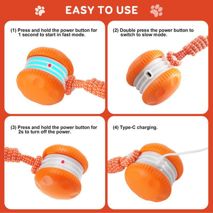 🔥As low as $9.99 each🐶The JEREMYTIS™ – Automatic Pet Toy Ball 🐾