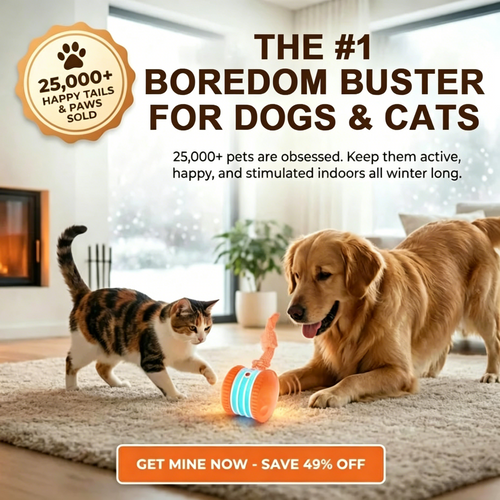 🔥As low as $9.99 each🐶The JEREMYTIS™ – Automatic Pet Toy Ball 🐾