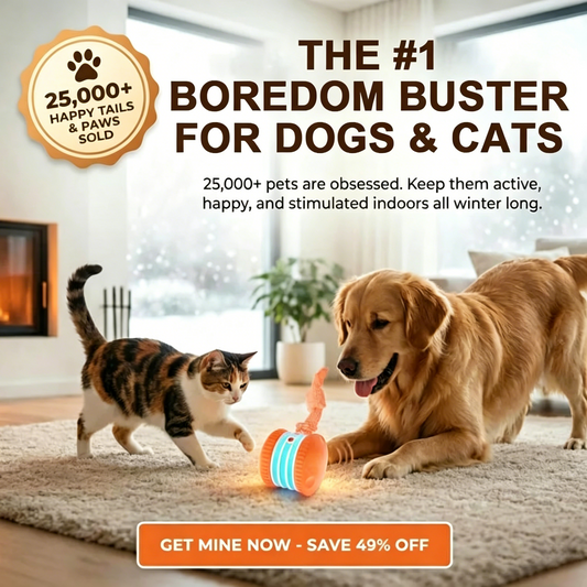 🔥As low as $9.99 each🐶The JEREMYTIS™ – Automatic Pet Toy Ball 🐾