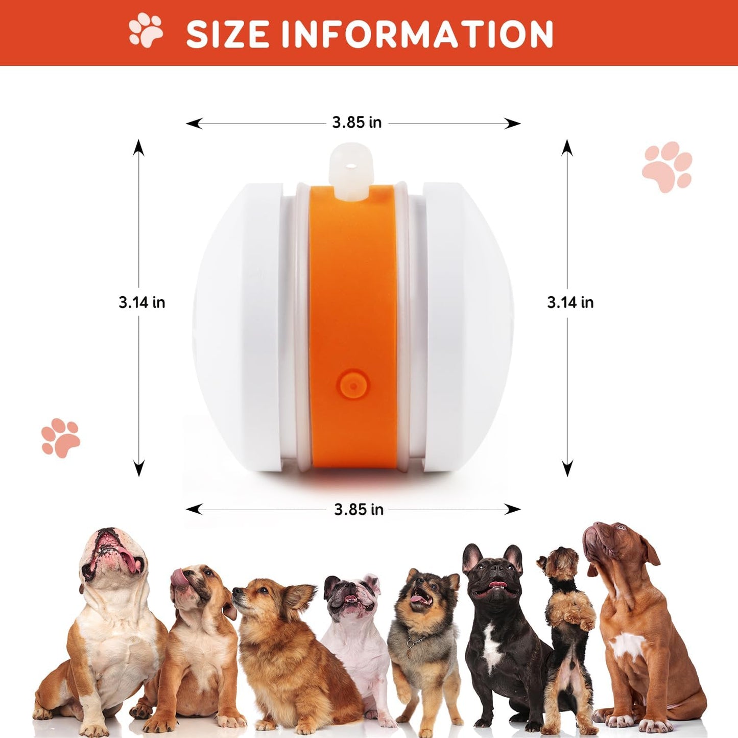 🔥As low as $9.99 each🐶The JEREMYTIS™ – Automatic Pet Toy Ball 🐾