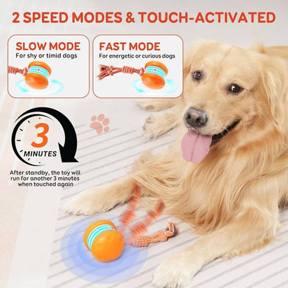 🔥As low as $9.99 each🐶The JEREMYTIS™ – Automatic Pet Toy Ball 🐾