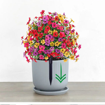 🔥 Last Day Buy 1 get 1 free🔥Turn Your Garden Into a Colorful Paradise🌷🌷🌷🌷🌷